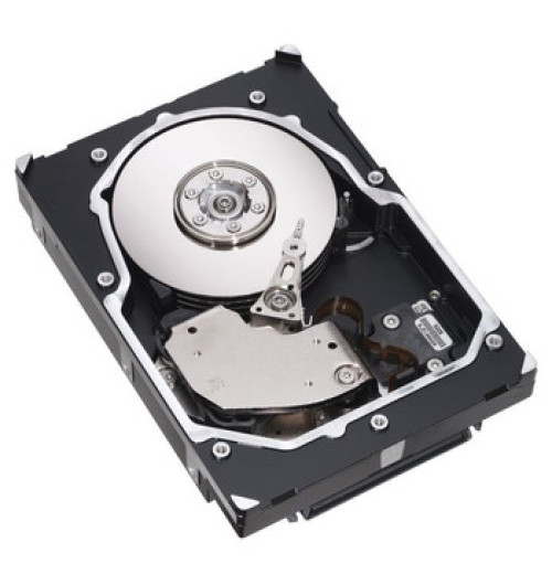 Dell 0Y9447 300GB 10000RPM Fibre Channel 2Gb/s Hot-Swappable 8MB Cache 3.5-Inch Hard Drive