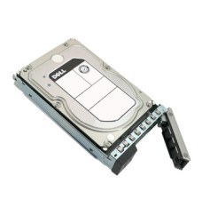 Dell 400-AOTV 2TB 7200RPM SAS 12Gb/s Hot-Pluggable (512n) 3.5-Inch Hard Drive with Tray for PowerEdge Server
