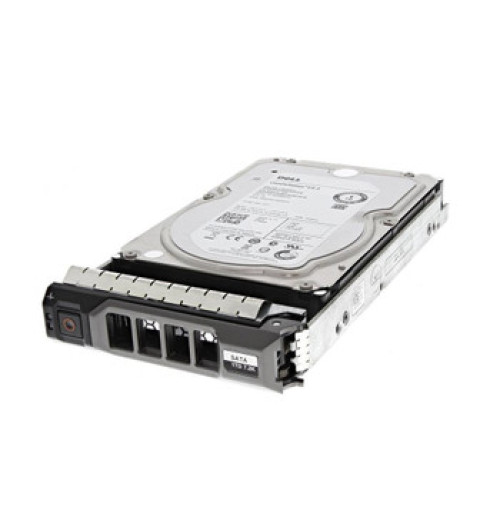Dell 400-AXFF 1TB 7200RPM SAS 12Gb/s Hot-Pluggable 2.5-Inch Nearline Hard Drive with Tray for PowerEdge Server