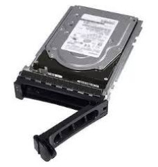 Dell 401-ABHS 2.4TB 10000RPM SAS 12Gb/s 512e Hot-Pluggable 2.5-inch Hard Drive with 3.5-inch Hybrid Carrier