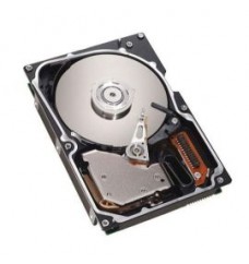 Seagate 9J8006-001 Cheetah 9LP Series 9.1GB 10000RPM Wide Ultra2 SCSI 1MB Cache 80-Pin 3.5-Inch Hard Drive