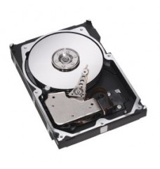 Seagate 9N7006-035 Cheetah 36LP Series 36GB 10000RPM Ultra160 SCSI 4MB Cache (CE) 80-Pin 3.5-Inch Hard Drive