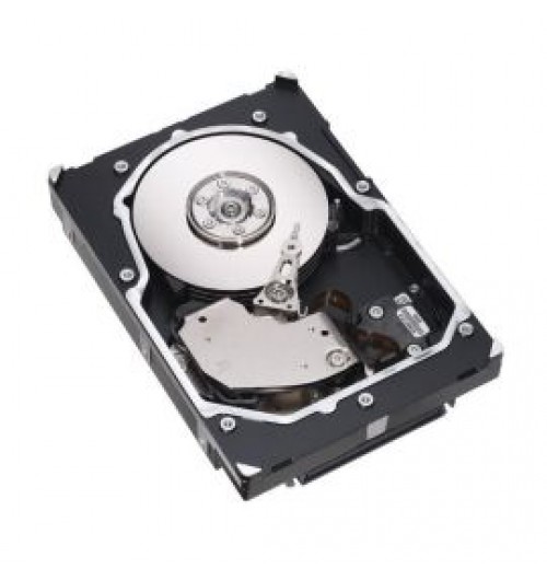 Seagate 9Z1005-042 300GB 15000RPM Ultra320 SCSI 16MB Cache 3.5-Inch Hard Drive