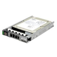 Dell C975M 300GB 10000RPM SAS 6Gb/s Hot-Pluggable 16MB Cache 2.5-Inch Hard Drive with Tray for PowerEdge Servers