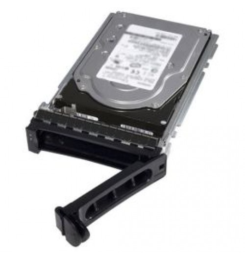 Dell DD1T4 6TB 7200RPM SAS 12Gb/s Hot-Swappable (512e) 3.5-Inch Nearline Hard Drive with Tray for PowerEdge Server