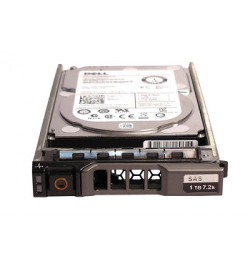 Dell FNMMG 2TB 7200RPM SAS 12Gb/s Hot-Pluggable 128MB Cache (512e) 2.5-Inch Hard Drive with Tray for PowerEdge Servers