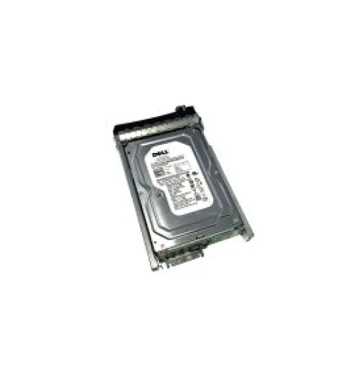 Dell H962F 250GB 7200RPM SATA 3Gb/s 3.5-Inch Hard Drive for PowerEdge Servers