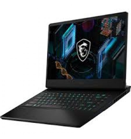 MSI GP66 11UG 015 Leopard - 15.6" - Core i7 11800H - 32 GB RAM - 1 TB SSD