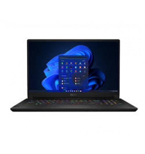 MSI GS76 11UE 221 Stealth - 17.3" - Core i7 11800H - 16 GB RAM - 512 GB SSD