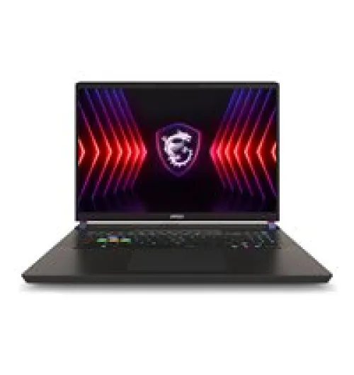 MSI Vector 17 HX A14VHG-649US - 17" - Intel Core i9 - i9-14900HX - 32 GB RAM - 1 TB SSD