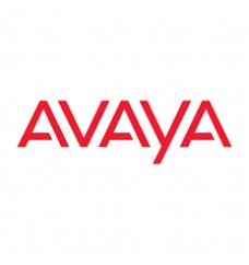 Avaya - wireless module